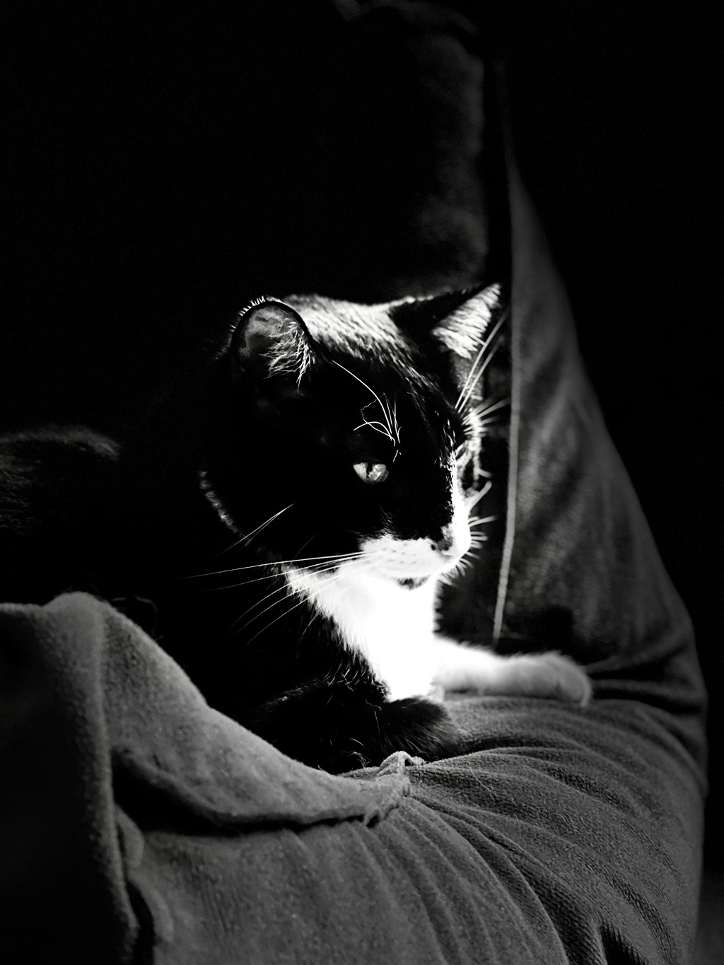 La crónica del viejo&nbsp;infeliz