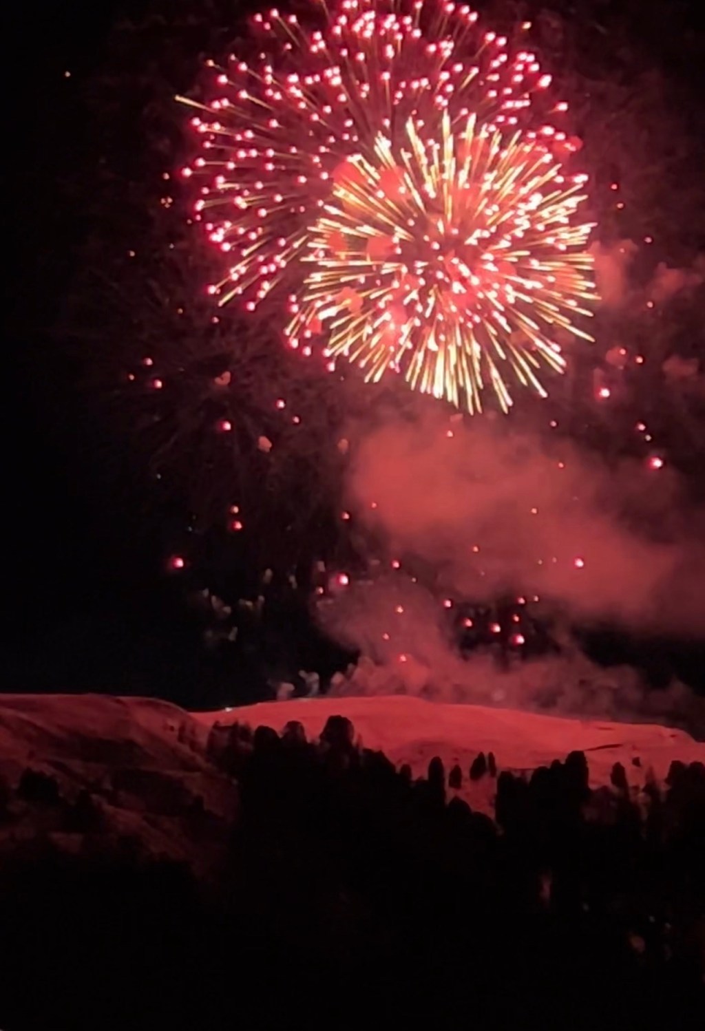 Diario de fin de&nbsp;año