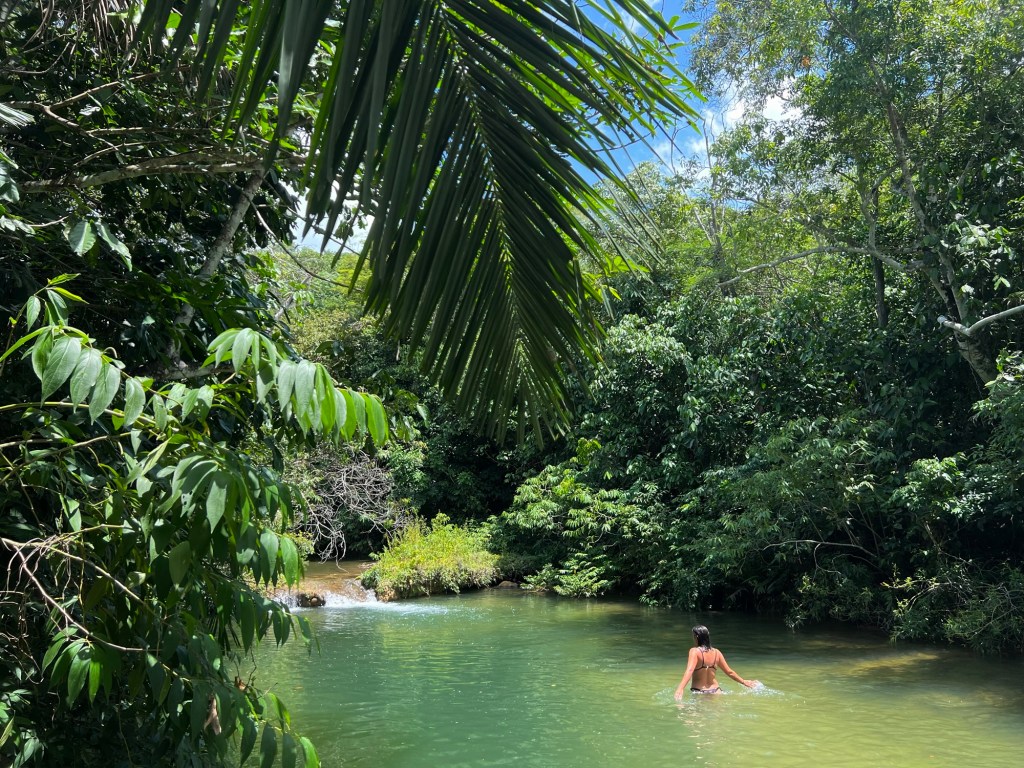 Minha vida em&nbsp;retrospectiva